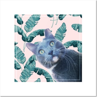 Summer of Roger the Cat Pastel Pink Palm Leaves Posters and Art